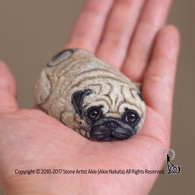 Trong mắt hầu hết mọi người, những viên sỏi đá chỉ là những thứ vô tri vô giác, hoàn toàn không có cảm xúc nhưng đối với Nakata Akie, một nữ nghệ sĩ Nhật Bản, thì những viên đá vô hồn ấy lại vô cùng giá trị. Bởi chỉ cần một chút màu vẽ và bàn tay khéo léo của mình, Nakata đã biến những viên đá trở thành những loài động vật vô cùng sống động.