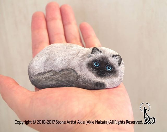 Akie nói với Bored Panda: "Những viên đá có thể nằm ngoài định nghĩa thông thường của chúng ta về các sinh vật sống, nhưng khi tôi nghĩ về chiều dài lịch sử, một hòn đá được sinh ra từ một tảng đá lớn trên núi và chịu nhiều tác động trước khi hình thành kích thước và hình dạng của nó...