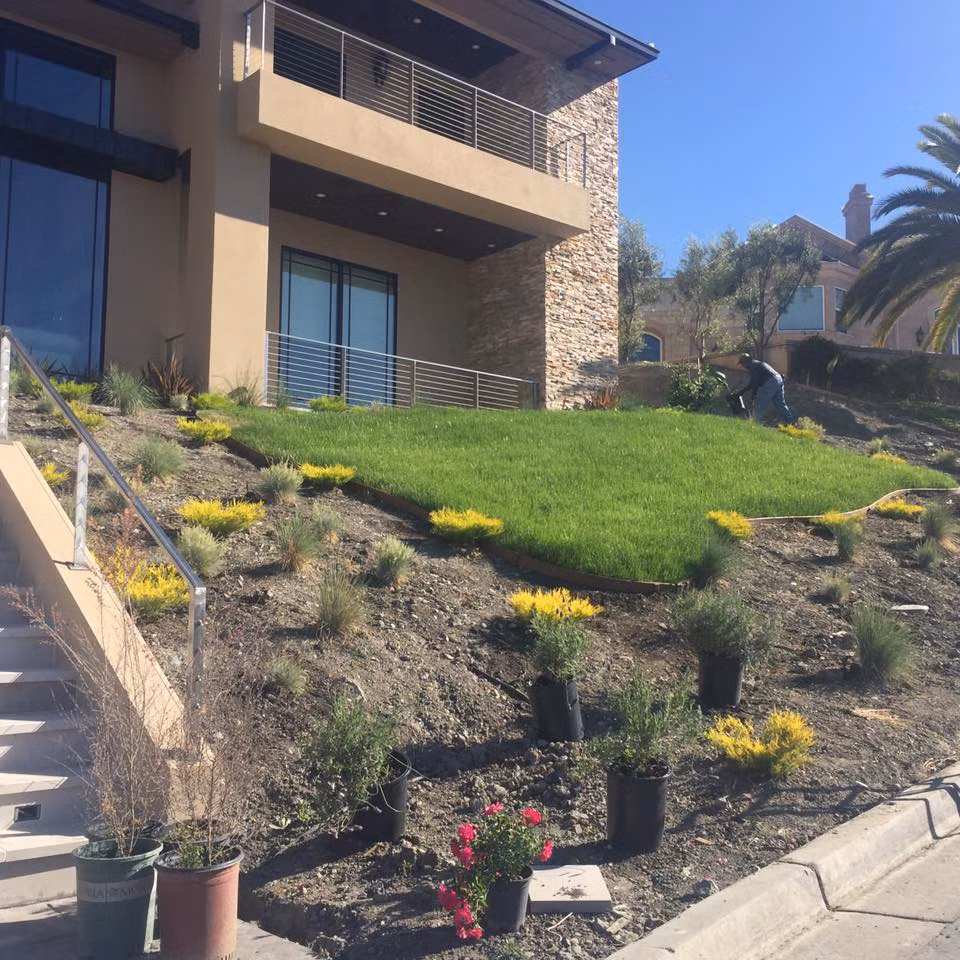 Toàn bộ cảnh quan của khu biệt thự đang được cải tạo lại để chuẩn bị cho buổi lễ.