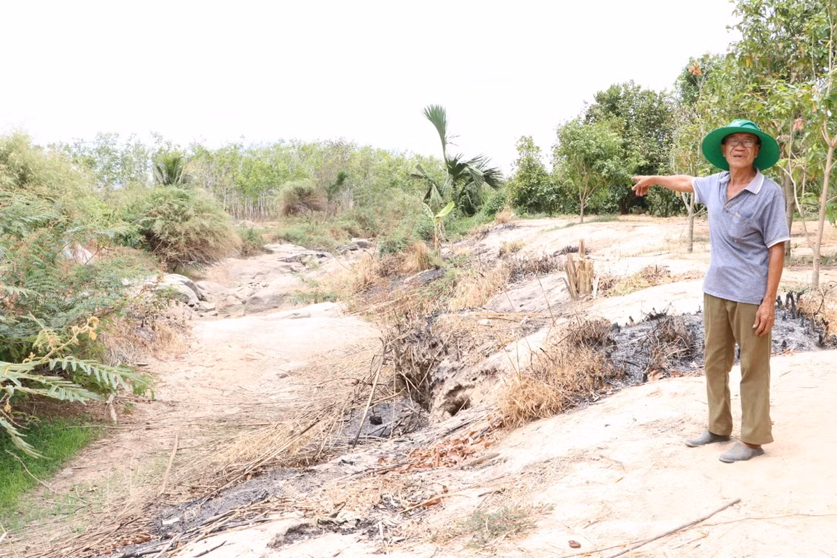 Người dân thôn Suối Sâu, xã Suối Kiết, huyện Tánh Linh thiếu nước tưới tiêu nhiều ngày nay