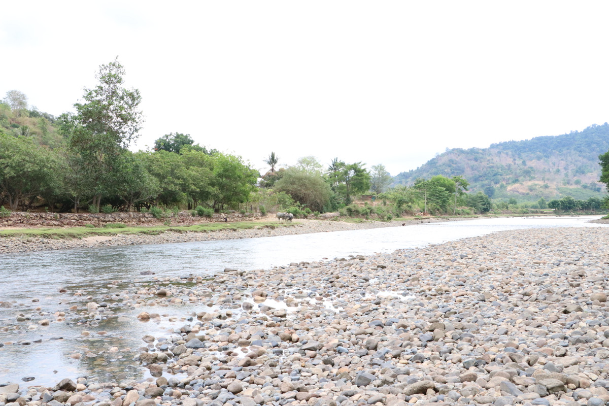 Sông La Ngâu, huyện Tánh Linh, tỉnh Bình Thuận cạn trơ bãi đá cuội