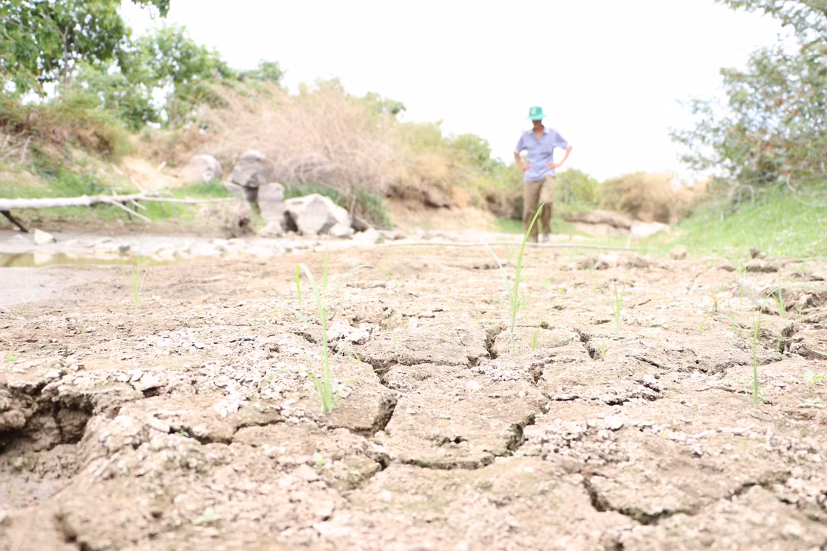 Ruộng đồng nứt nẻ trong sự bất lực của nông dân