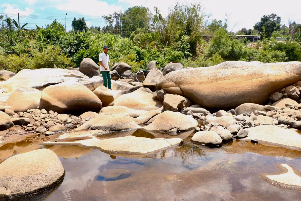 Người dân Lâm Đồng chật vật tìm nguồn nước cho vườn sầu riêng đang khô khát.