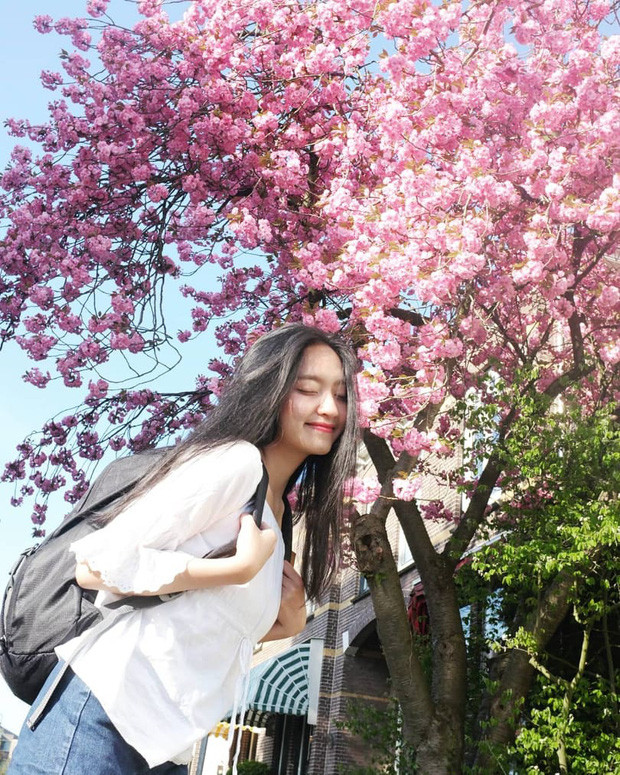 Vừa qua, Bảo Nhi là Thủ khoa tốt nghiệp ngành Ngôn ngữ Anh, Đại học Ngoại ngữ, Đại học Huế.