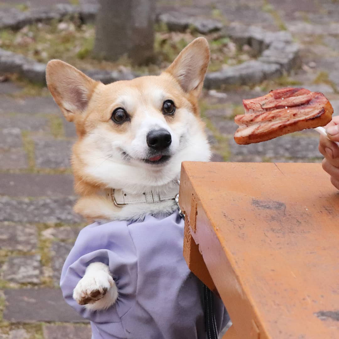 Những hình ảnh hạnh phúc của Gen trên MXH đều là những khoảnh khắc tự nhiên, hàng ngày của cu cậu khi được ra ngoài chơi.