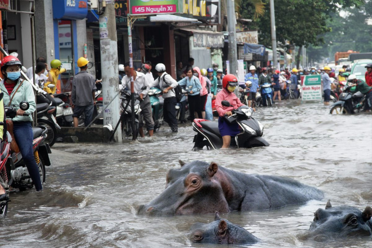 Những bức ảnh chế mưa ngập này với lời bình hài hước liên tục được chia sẻ trên mạng về tình trạng ngập nặng ở Sài Gòn vừa qua.