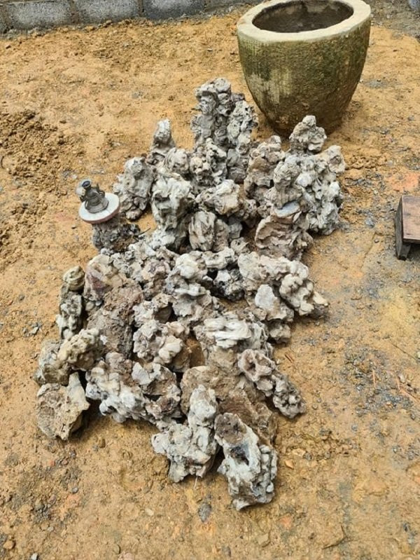 Sau khi đem về nhà, cô Sao còn giới thiệu sẽ dùng cổ vật đào được này để làm hòn non bộ và tự nhận đây là mô hình đẹp nhất tỉnh Cao Bằng.