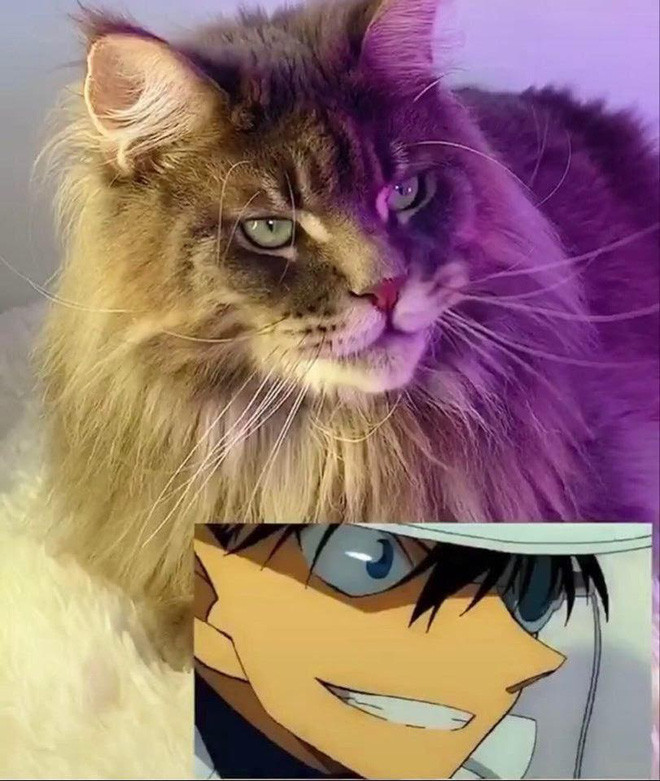 Trào lưu này đã thu hút lượng người xem, lượt yêu thích đông đảo.