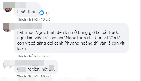 "Bắt chước Ngọc Trinh đeo kính ở bụng, giờ lại bắt chước ngồi làm việc trên xe như Ngọc Trinh. Con vịt vẫn là con vịt, có cố gắng đòi thành phượng hoàng thì cũng mãi là vịt" - một cư dân mạng bình luận.