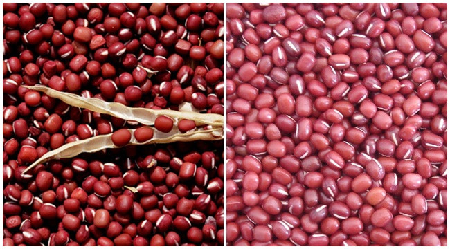 Hạt đậu đỏ: Theo các chuyên gia phong thủy, hạt đậu đỏ là thứ tượng trưng cho sự may mắn. Có thứ này trong người giúp bạn “rước” thêm tiền bạc vào ví, đẩy lui xui xẻo. Ngoài việc mang tới may mắn về tiền bạc, hạt đậu đỏ còn có thể giúp ích cho đường tình duyên của bạn nữa đấy. 