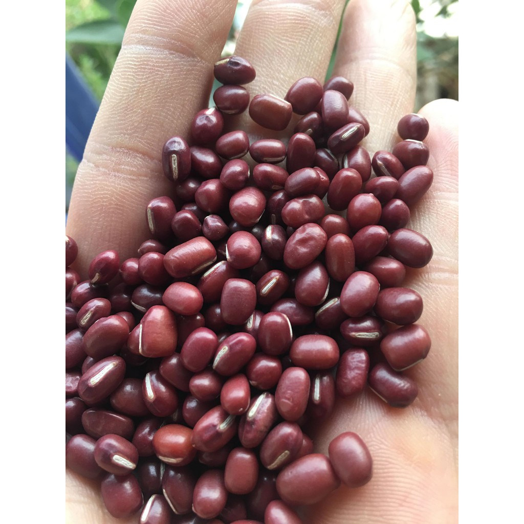 Thế nên, trước khi đi ra ngoài, nam thì chọn 7 hạt, nữ chọn 9 hạt đậu rồi bỏ vào ví. Bạn sẽ đạt được mọi thứ như ý nguyện, “hóa hung thành cát”, thuận buồm xuôi gió, sự nghiệp thăng tiến, công thành danh toại. 