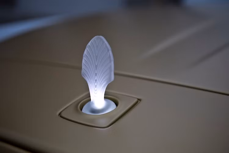 Có tên gọi Palm nghĩa là cây cọ, bản độ Palm Edition 999 cũng đã thay mascot Spirit of Ecstasy bằng một biểu tượng lá cọ mới được làm bằng pha lê và có đèn chiếu sáng LED bên dưới.