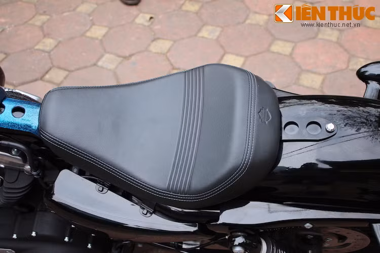 Yên xe cũng được thay đổi nhẹ so với đời 2015 khi có các sọc nổi chạy ngang cùng logo Harley-Davidson dập nổi, thay vì yên trơn như trước.