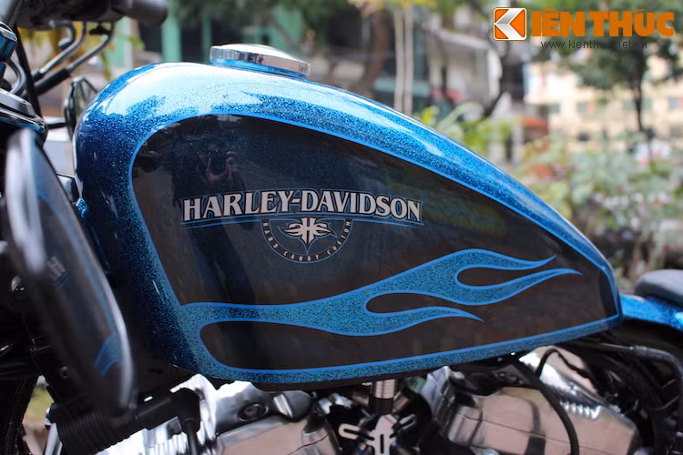 Chiếc Harley-Davidson Forty Eight "hàng ngoài" này được sơn sẵn màu tùy chọn tím ánh kim Hard Candy đặc biệt. Trên một chiếc Forty-Eight chính hãng, để có màu sơn Hard Candy tương tự, khách hàng sẽ phải trả thêm 23,8 triệu đồng so với mức giá khởi điểm cho bản rẻ nhất của chiếc xe.