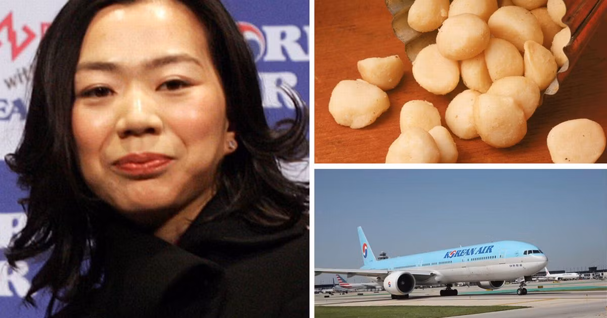 Cai ket dang cho dai tieu thu Korean Air duoi tiep vien khoi may bay-Hinh-5