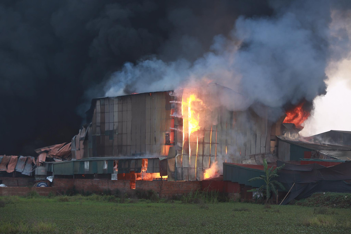 Trong kho xưởng có chứa nhiều vỏ bình ga.