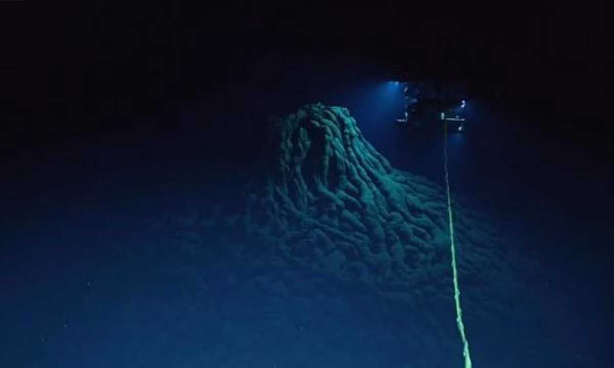 Ở nơi áp suất vô cùng lớn và không có ánh sáng, các nhà khoa học đang tìm mọi cách để khám phá xem nơi này có sinh vật sống và sống bằng cách nào hay không.