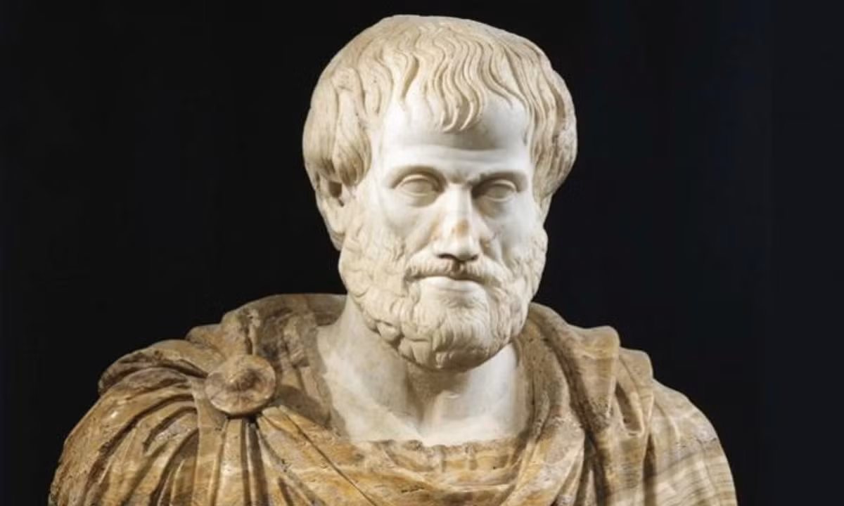 2. Aristotle: là một triết gia Hy Lạp, học trò của Plato và là thầy của Alexander Đại đế. Ông chính là người đặt nền móng cho triết học của phương Tây, phát triển từ các kiến thức của Plato và Socrates. (Nguồn: VietnamFinance)