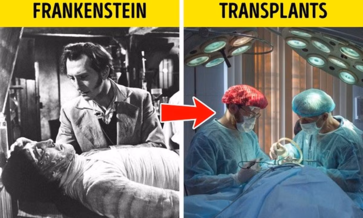 3. Ghép tạng: năm 1818, tiểu thuyết gia Mary Shelley - tác giả của tiểu thuyết huyền thoại Frankenstein đã đề cập đến ý tưởng hồi sinh người chết bằng sét (sốc điện) và cấy ghép nội tạng. Hàng trăm năm sau con người mới đủ công nghệ để có thể áp dụng phát minh này.