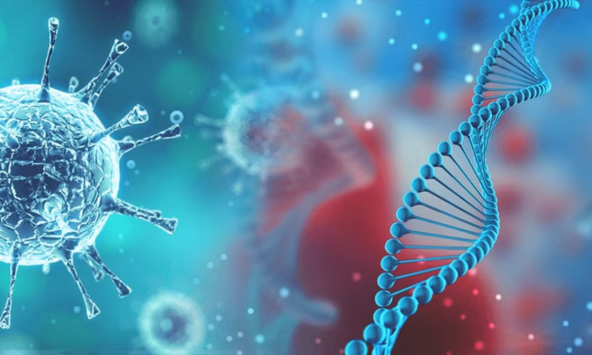 4. Virus biến đổi gen: vào năm 2016, Stephen Hawking đã cho rằng virus biến đổi gen là một trong những nguy cơ lớn dẫn đến sự diệt vong của loài người. Tạp chí Journal of Toxicology and Environment Health cũng cho rằng những loại virus này “không thể đoán trước và tiềm ẩn nguy cơ gây hại”. (Nguồn: Báo Sức khỏe &amp; Đời sống)