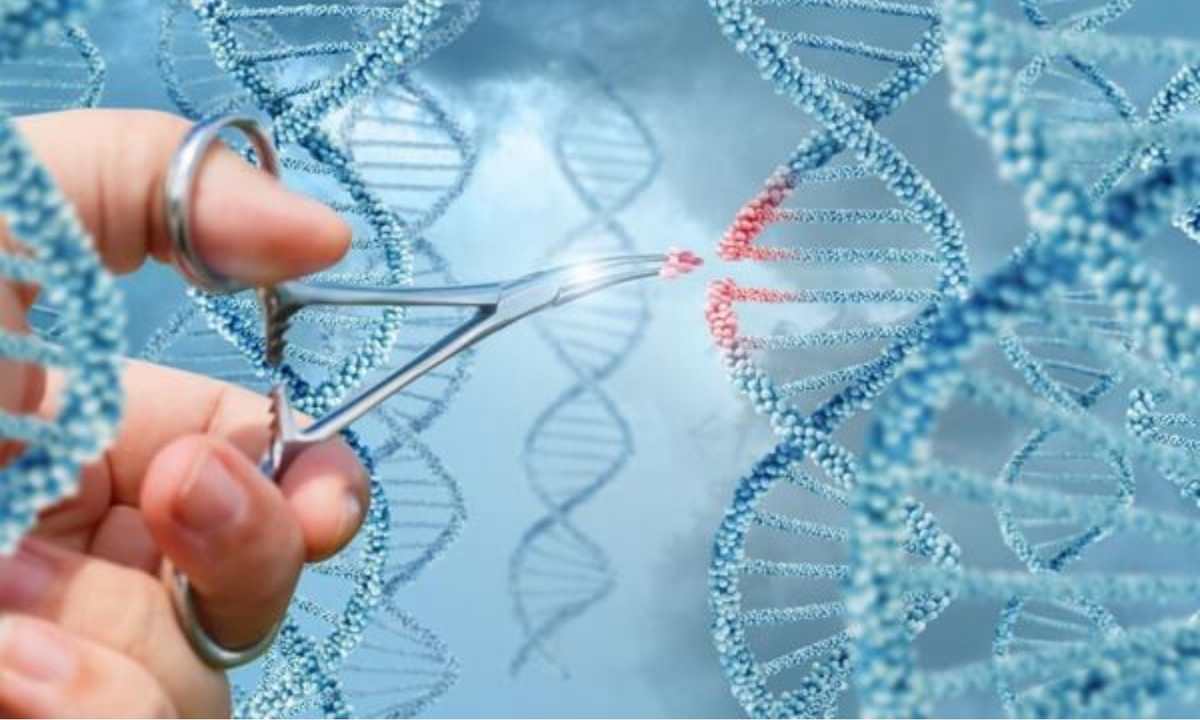 Tuy nhiên vào năm 2020, Foreign Policy đã đưa ra thông tin về việc những thiết bị dùng để chỉnh sửa gen đang xuất hiện một cách tràn lan. Những lời hứa hẹn về khả năng chỉnh sửa gen các sinh vật sống dễ dàng cùng với quá trình đặt hàng trực tuyến nhanh chóng đang thực sự là một mối đe dọa lớn. (Nguồn: GENTIS)