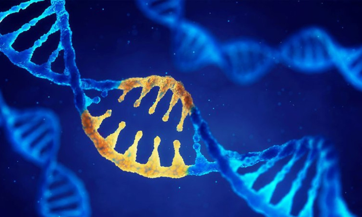 3. “Siêu nhân loại” được biến đổi gen: nhà vật lý xem kết quả của việc thay đổi yếu tố di truyền là một sự phân loại nguy hiểm giữa người biến đổi gen và người bình thường. Và thực tế là điều đó đã xảy ra. (Nguồn: Vinmec)