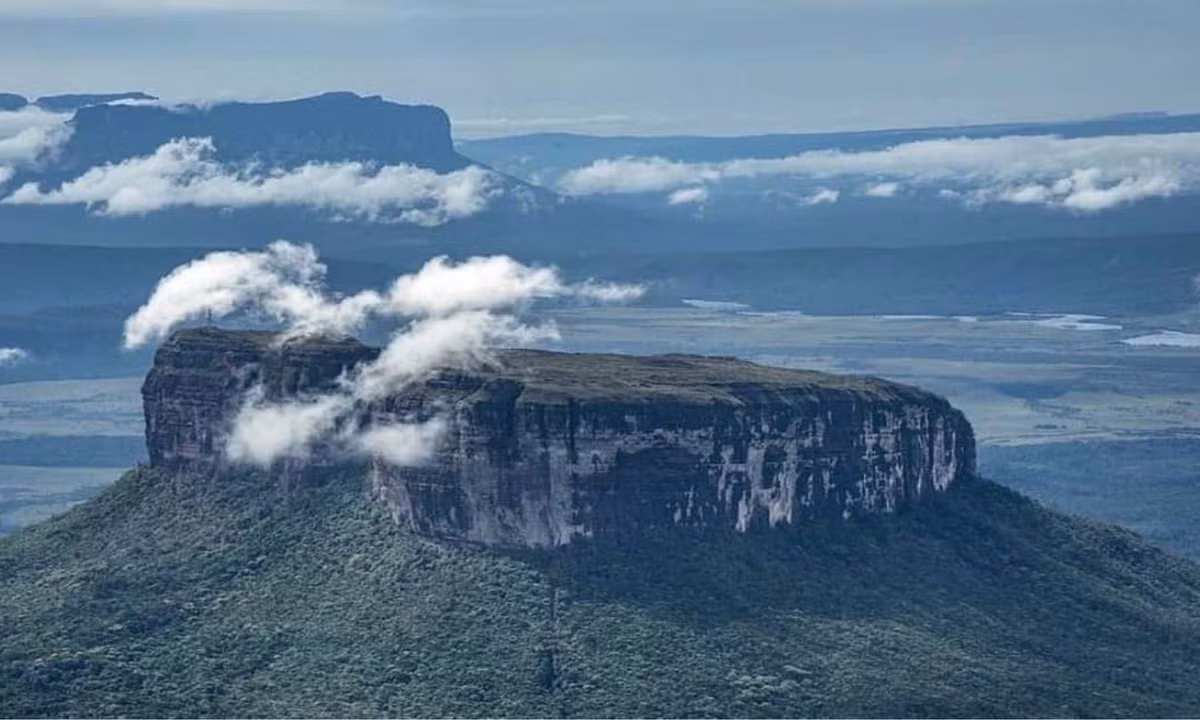 Vì thế, nhiều người tin rằng, còn nhiều loài khác chỉ tồn tại ở thế giới quanh năm chìm trong mây trên đỉnh Roraima nhưng chưa được khám phá. Và biết đâu, chúng bao gồm cả khủng long, hoặc bất cứ loài sinh vật tiền sử nào đó… (Nguồn: NTN24)