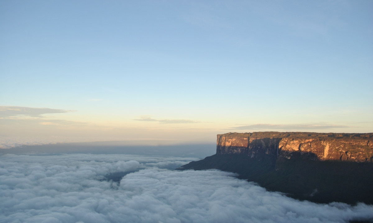 Khi thám hiểm núi Roraima vào năm 1989, nhà thám hiểm người Đức Uwe George thừa nhận, họ không thấy các sinh vật nguyên thủy hoặc di tích hóa thạch của chúng trên núi, nhưng do địa hình quá khó khăn nên chỉ một phần nhỏ của đỉnh núi rộng 113km2 đã được khám phá (George, 1989). (Nguồn: Wikipedia)