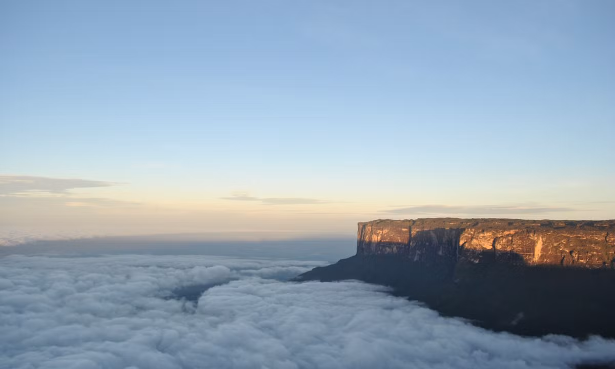 Khi thám hiểm núi Roraima vào năm 1989, nhà thám hiểm người Đức Uwe George thừa nhận, họ không thấy các sinh vật nguyên thủy hoặc di tích hóa thạch của chúng trên núi, nhưng do địa hình quá khó khăn nên chỉ một phần nhỏ của đỉnh núi rộng 113km2 đã được khám phá (George, 1989). (Nguồn: Wikipedia)