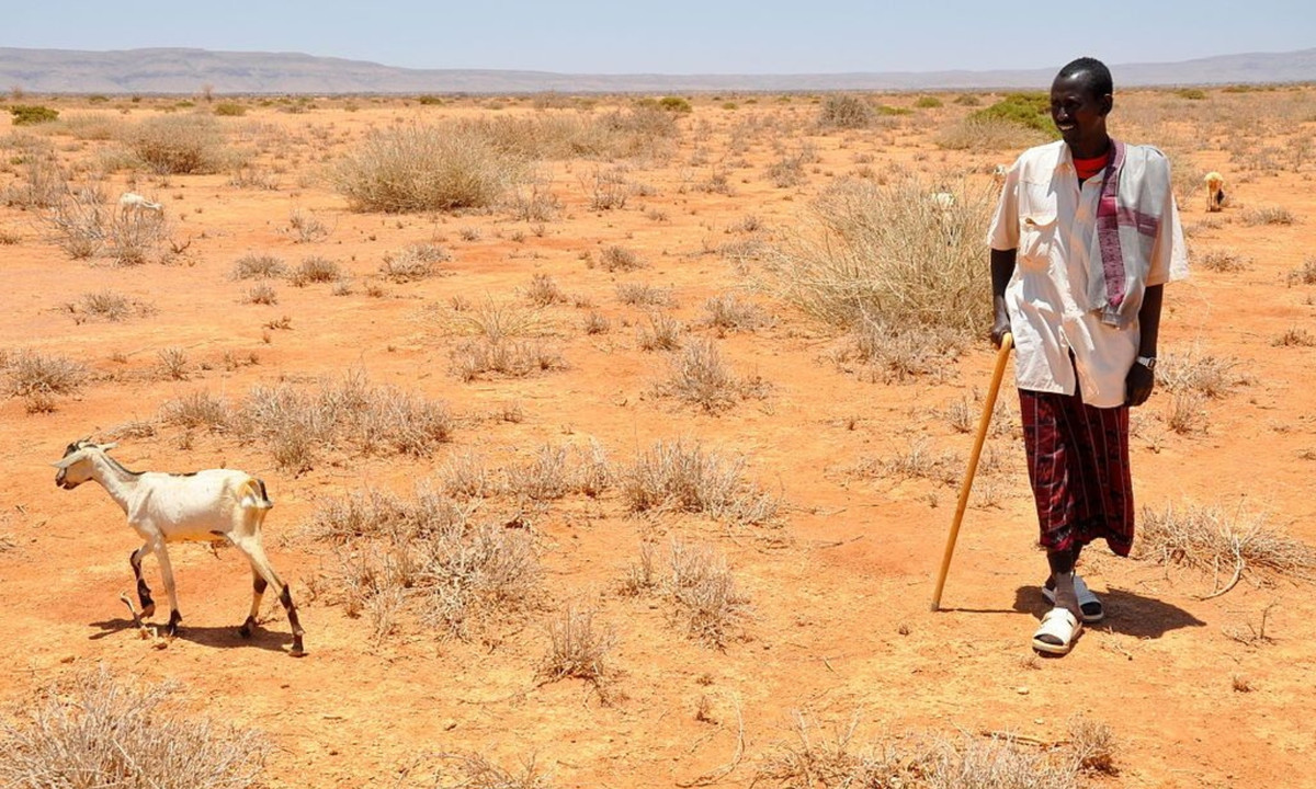 5. Đông Phi năm 2011: đợt hạn hán nghiêm trọng ảnh hưởng đến toàn bộ Đông Phi. Hạn hán gây ra một cuộc khủng hoảng lương thực trầm trọng khắp Somalia, Djibouti, Ethiopia, Kenya và đe dọa cuộc sống của hơn 10 triệu người. (Nguồn: wikimedia.org)