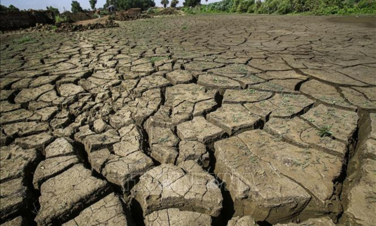 1. Sahel (Tây Phi) năm 2012: gần 20 triệu người ở 8 quốc gia Tây Phi gồm các khu vực Sahel đã phải đối mặt với hạn hán khủng khiếp. Điều đó khiến họ lâm vào nạn đói khủng khiếp, thảm họa này trở thành một trong những thảm cảnh tồi tệ nhất trên hành tinh trong những năm gần đây. (Nguồn: Báo Đắk Lắk)