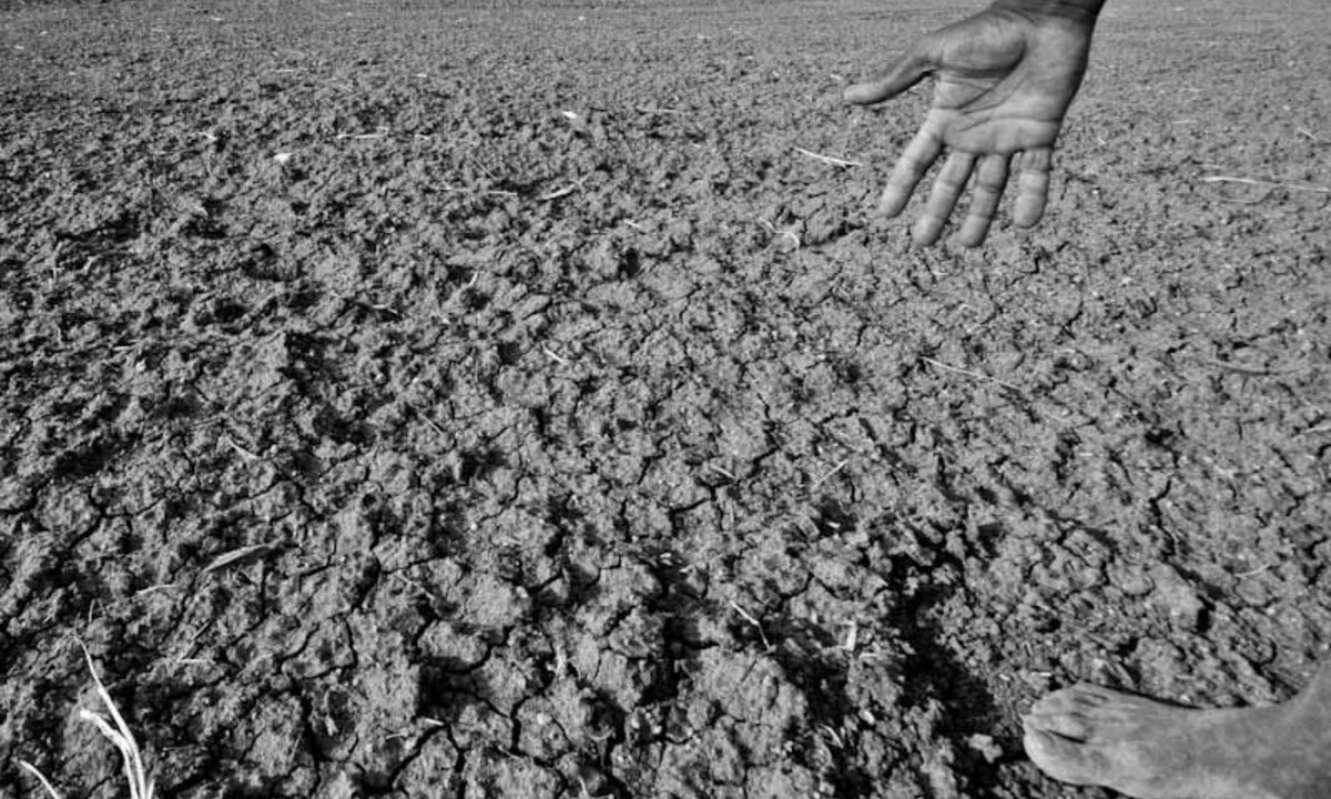 4. Trung Quốc năm 1941: là thảm họa tồi tệ nhất hoàn toàn do hạn hán và thiếu mưa gây ra mà không hề có mặt bất kỳ yếu tố nào khác như các cuộc xung đột, chiến tranh hay dịch bệnh. (Nguồn: wikipedia.org) 