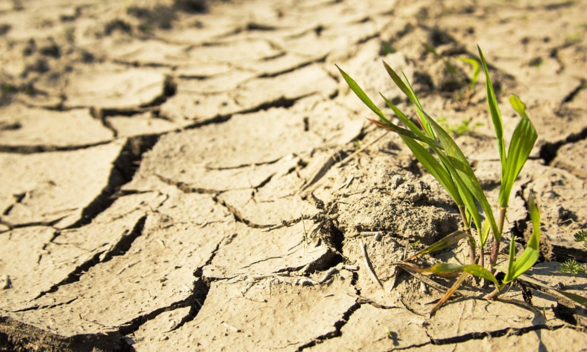 8. Tây Ban Nha năm 2014: nhiều nơi ở Tây Ban Nha bị hạn hán cường độ cao nhất trong hơn một thế kỷ rưỡi. Valencia và Alicante là hai trong những khu vực tồi tệ nhất bị ảnh hưởng. Theo cơ quan khí tượng của nước này, trong vòng 150 năm qua, họ chưa bao giờ chứng kiến một đợt hạn hán dài và dữ dội như vậy. (Nguồn: KhoaHoc.tv)