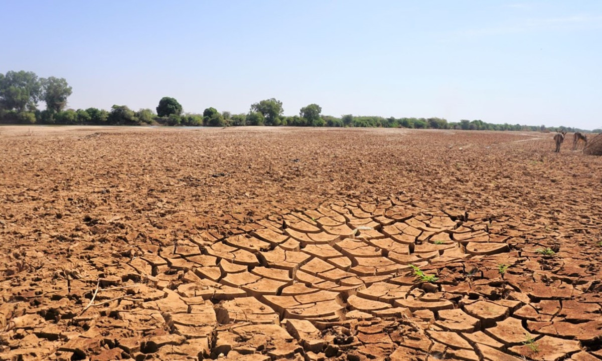 10. Vùng Sừng châu Phi 2022: ngày 8/4, Tổ chức Di cư Quốc tế (IOM) cảnh báo khu vực Đông Bắc Phi (còn gọi là vùng Sừng châu Phi) đang hứng chịu đợt hạn hán tồi tệ nhất trong nhiều thập kỷ khiến 15 triệu người bị ảnh hưởng nghiêm trọng. (Nguồn: VietnamPlus)