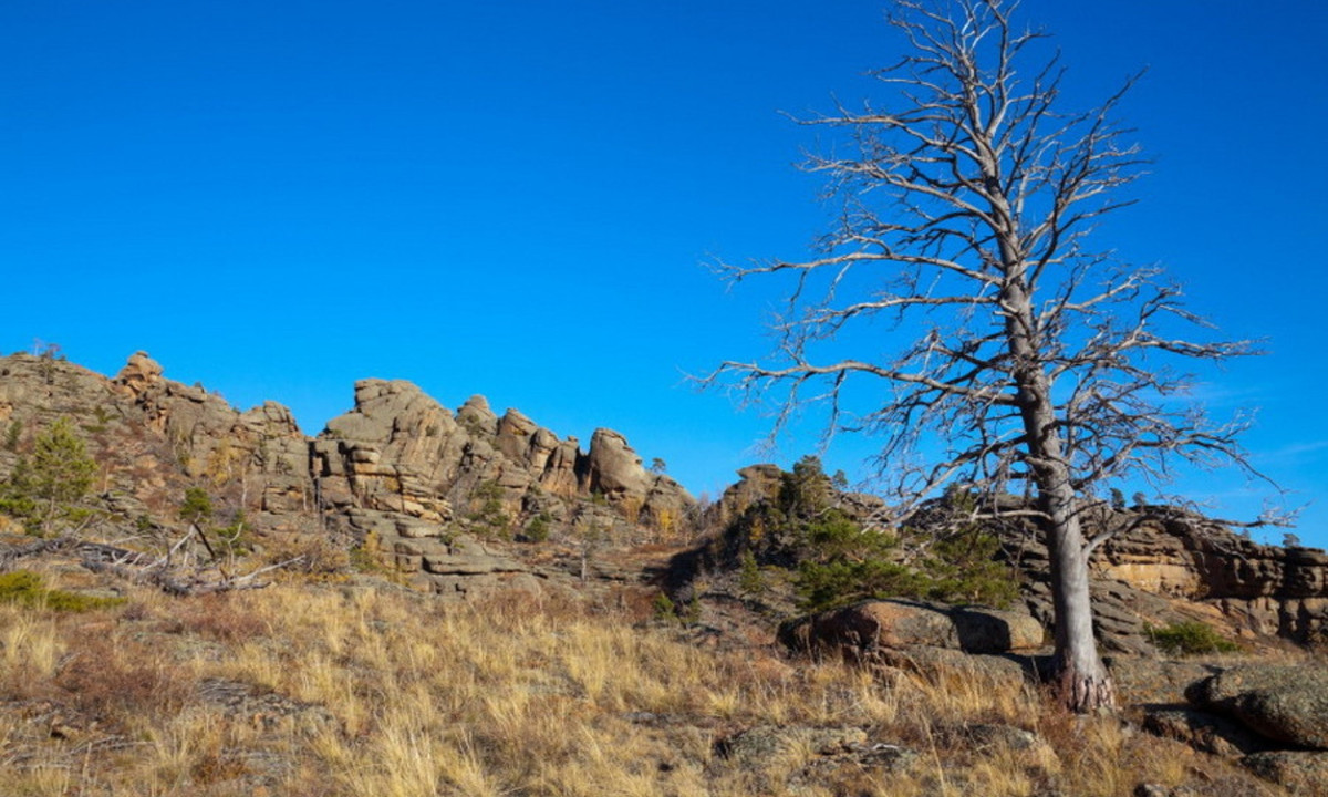 Toàn bộ xe tăng như bị một lớp băng bao phủ. Qua khám xét, các mẫu vật nghi ngờ đều được đưa đến phòng thí nghiệm hiện đại ở Moskva tiến hành kiểm tra. Các nhà khoa học đã không thể tìm thấy bất cứ điều gì bất thường, như chất lạ, vật lạ hoặc manh mối quan trọng nào phục vụ cho cuộc điều tra. (Nguồn: Advantour). 