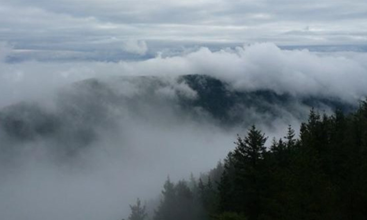 Chính quyền Liên Xô khi ấy đã điều động 1 chiếc trực thăng để rà quét khu vực đảo, tìm kiếm những người mất tích. Nhưng khi máy bay tiến vào lớp sương mù thì các thiết bị trên khoang lái bị nhiễu loạn và dần hỏng từng thứ một. Sự cố bất ngờ này khiến 2 phi công buộc phải hạ cánh khẩn cấp. (Nguồn: Doanh nghiệp)