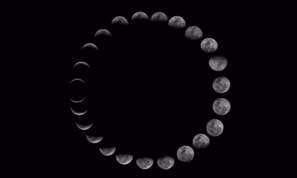 5. Quỹ đạo đáng kinh ngạc: mặt trăng của Trái đất là mặt trăng duy nhất trong hệ mặt trời có quỹ đạo tròn gần như “hoàn hảo”. Thực tế là Mặt trăng không quay tròn như một thiên thể tự nhiên. (Nguồn: Báo Dân trí)