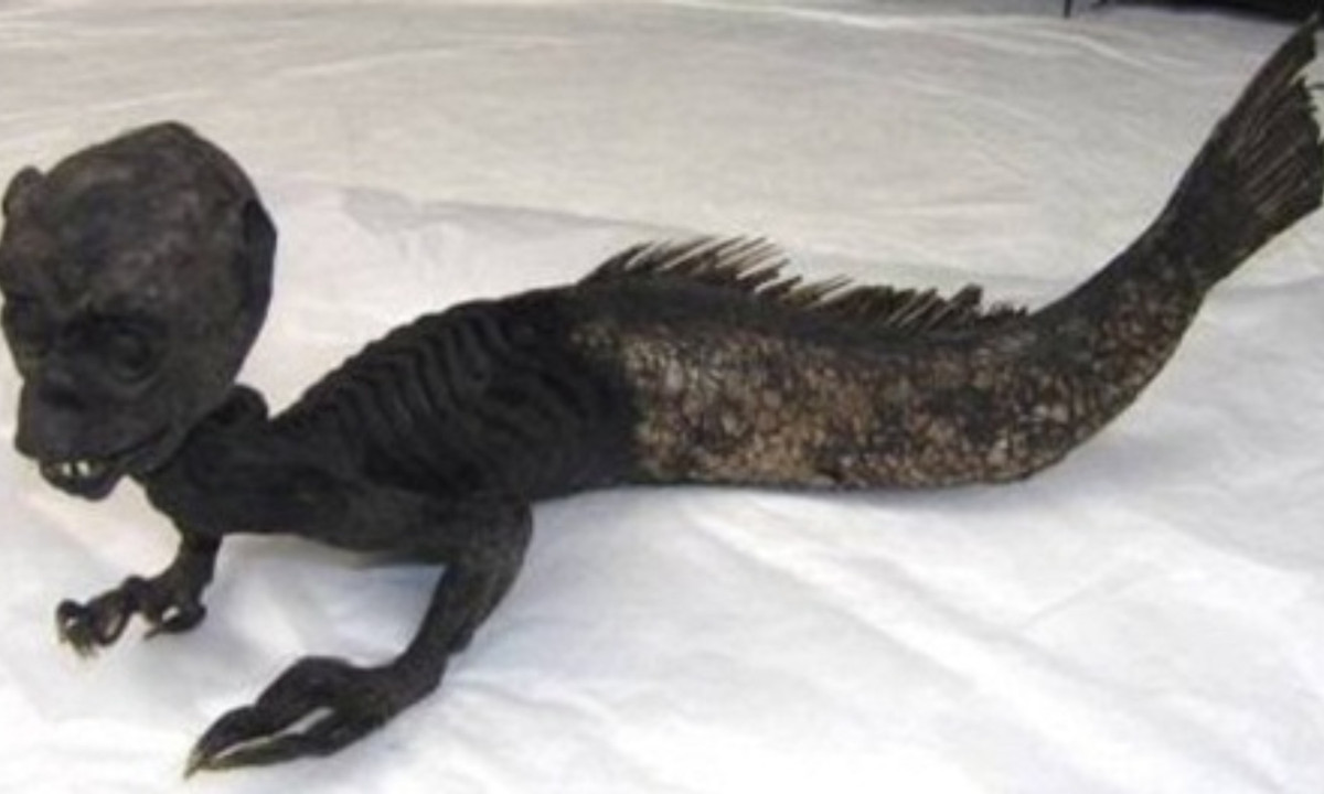 Đây là hóa thạch Nhân Ngư hoàn chỉnh nhất từng được phát hiện trên thế giới. [Điều này chứng tỏ rằng loài sinh vật này đã vượt ra khỏi khuôn khổ của truyền thuyết, hư cấu], bởi chúng thật sự đã từng tồn tại trong thế giới chúng ta.