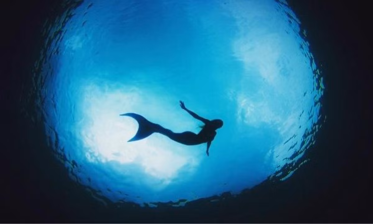 Ở Nam Thái Bình Dương, Biển Bắc, Biển Đỏ, dọc theo bờ biển Scotland, Ireland và một số nơi khác, đều lưu lại rất nhiều văn tự về sự tồn tại của Người cá.