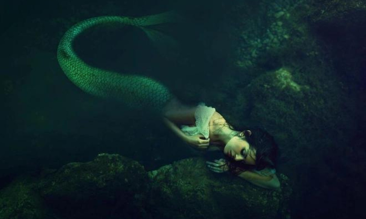 Vậy Nhân ngư có thực sự tồn tại hay không? Cho đến giờ, cộng đồng khoa học vẫn chưa đưa ra được câu trả lời chính xác, nên đây vẫn là một câu hỏi mở. Nhưng chúng ta nên để tâm trí cởi mở để tiếp nhận tất cả các khả năng. Dù sao, một số sinh vật từng được cho là sản phẩm của trí tưởng tượng của người xưa.