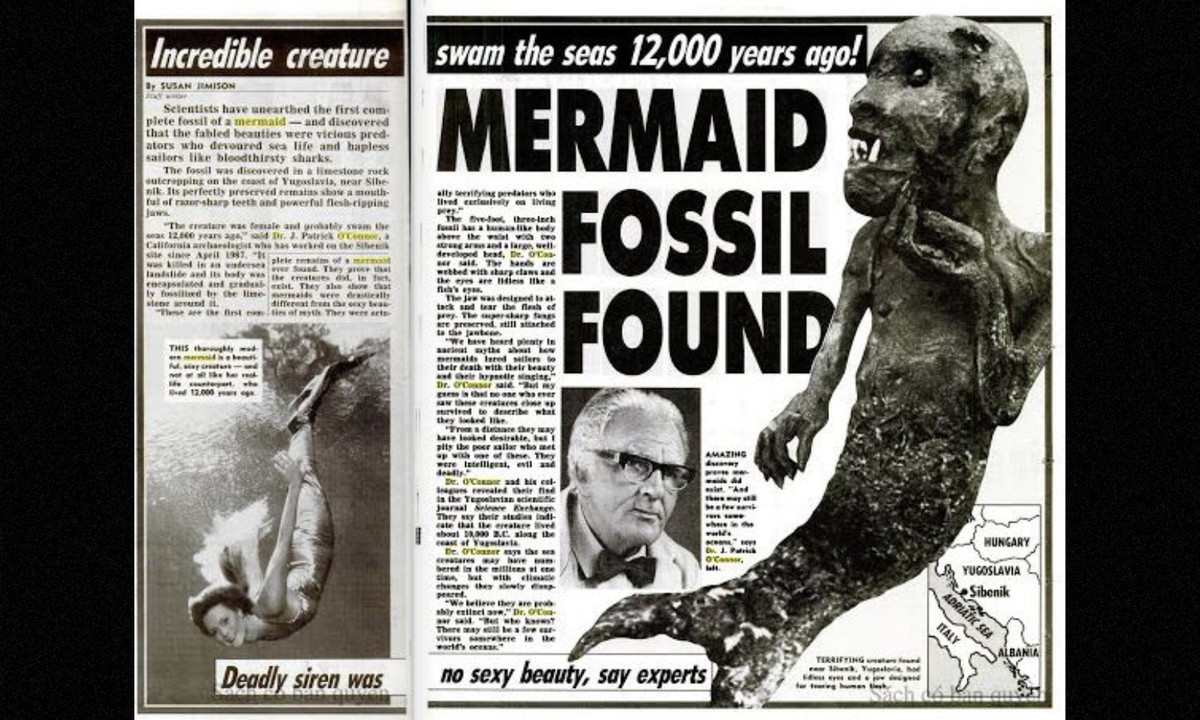 Ngày 21/5/1991, tờ Weekly World Report của Mỹ đã đăng một bài báo có tiêu đề “Sinh vật đáng kinh ngạc tung hoành trên biển cả 12.000 năm trước: Tìm thấy hóa thạch người cá”.