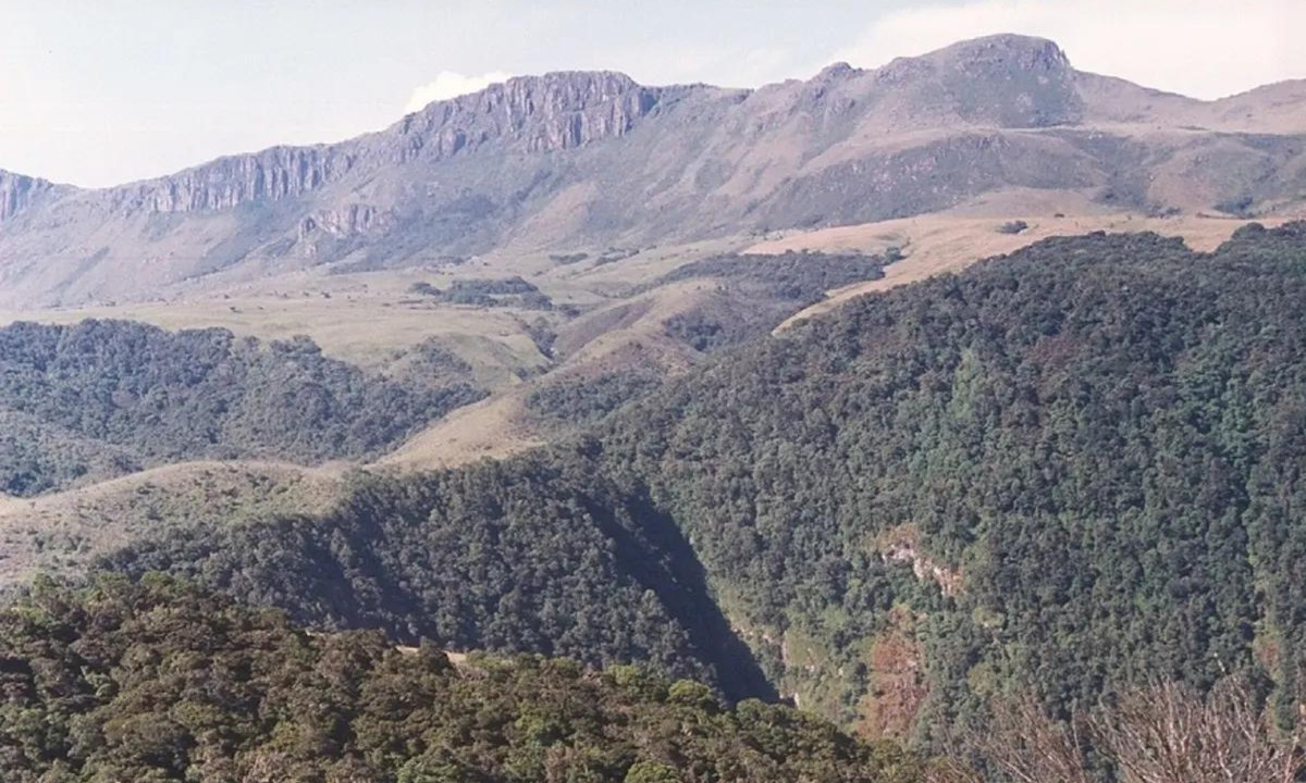 Vào sáng sớm ngày 4/1/2014, Dada đi lên núi cùng vợ và một cặp vợ chồng khác và kể từ đó không còn ai nhìn thấy anh nữa. Những người còn lại kể lại rằng khi leo lên được nửa đường, trong lúc mọi người mệt mỏi và tranh thủ nghỉ ngơi thì Dada tách ra một góc để ngắm nhìn khung cảnh, không ai có thể tìm thấy anh nữa dù dùng đủ mọi cách. (Nguồn: The Herald)