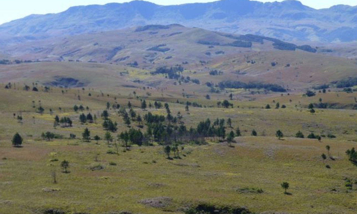 Theo người dân địa phương, những người mất tích đang bị những linh hồn này canh giữ, và nếu biết tuân thủ “phép lịch sự” của ngọn núi thì họ sẽ được yên ổn. Cách duy nhất để đưa những người bị mất này trở lại là thông qua các nghi lễ cực kỳ khắt khe để cầu xin những linh hồn này tha thứ. (Nguồn: Zimbabwe Field Guide)