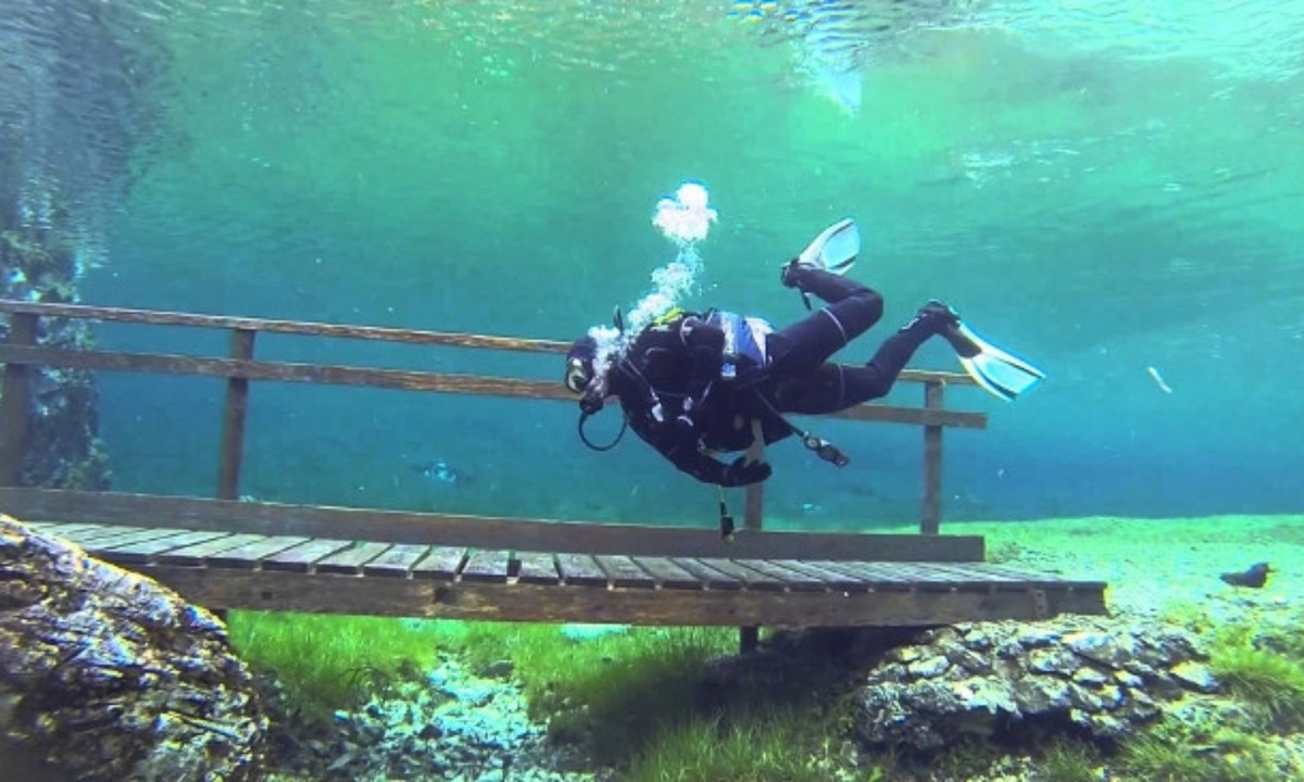 5. Thủy cung trên mặt đất: Ở Áo, gần dãy núi Hochschwab công viên Grüner See nổi tiếng với những con đường mòn đi bộ tuyệt đẹp. Nhưng khi mùa xuân đến cả công viên ngập trong nước. Vào mùa đông, công viên được bao phủ bởi một lớp tuyết rất dày. (Nguồn: vtc.vn)