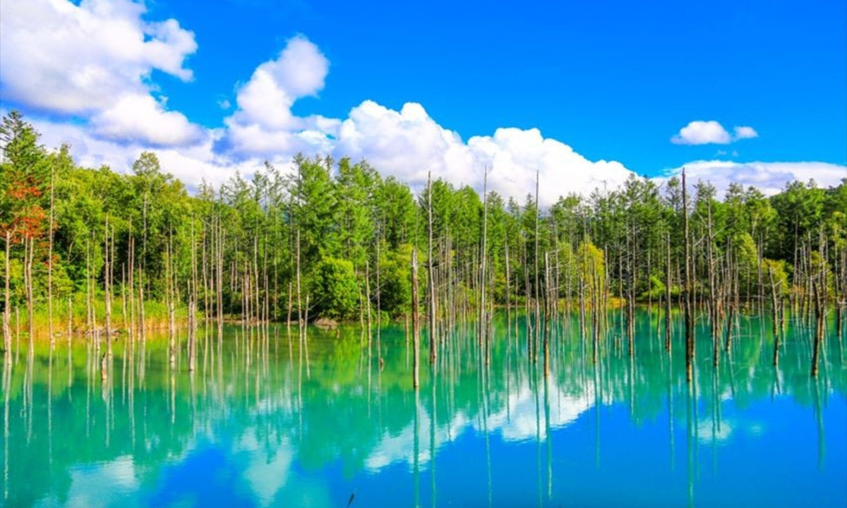 8. Hồ xanh ở Hokkaido: mước trong hồ có màu sắc khác nhau khi nhìn ở các góc độ khác nhau. Cụ thể, màu nước thay đổi đa dạng giữa hai sắc thái xanh lục và xanh lam theo thời gian trong năm. (Nguồn: fun-japan.jp) 