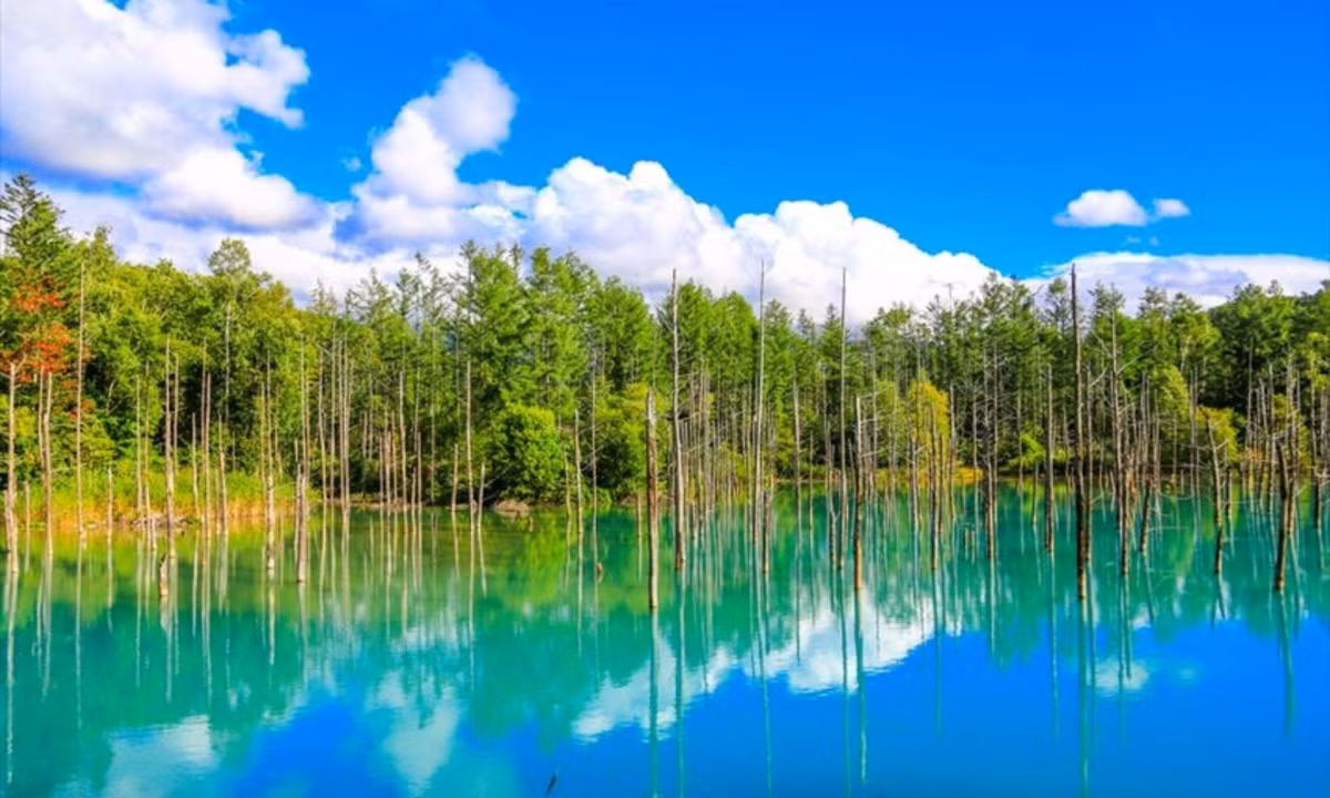 8. Hồ xanh ở Hokkaido: mước trong hồ có màu sắc khác nhau khi nhìn ở các góc độ khác nhau. Cụ thể, màu nước thay đổi đa dạng giữa hai sắc thái xanh lục và xanh lam theo thời gian trong năm. (Nguồn: fun-japan.jp) 