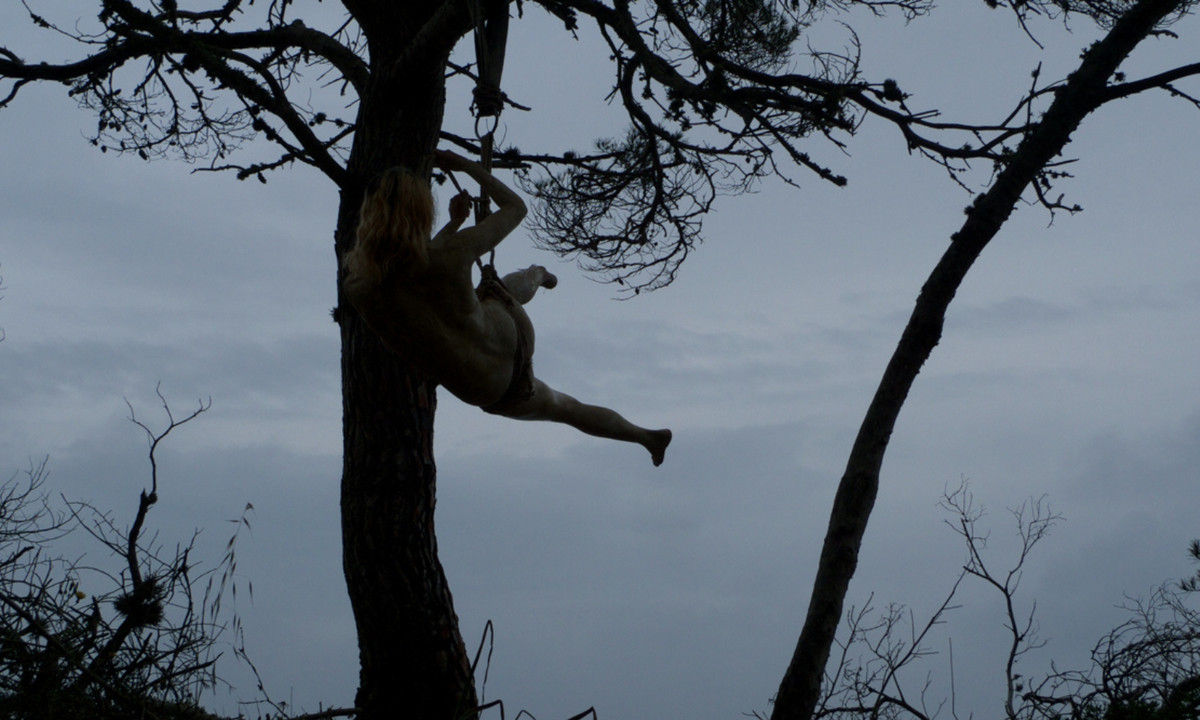 3. Icarus - 113,14 m (371,2 ft): được phát hiện cùng với cây Hyperion và Helios vào năm 2006. Nó cao hơn chiều cao của "Người khổng lồ Stratospheric". Chiều cao của cây này là 371,2 feet, khoảng 113,14 mét. (Nguồn: Supernaut)