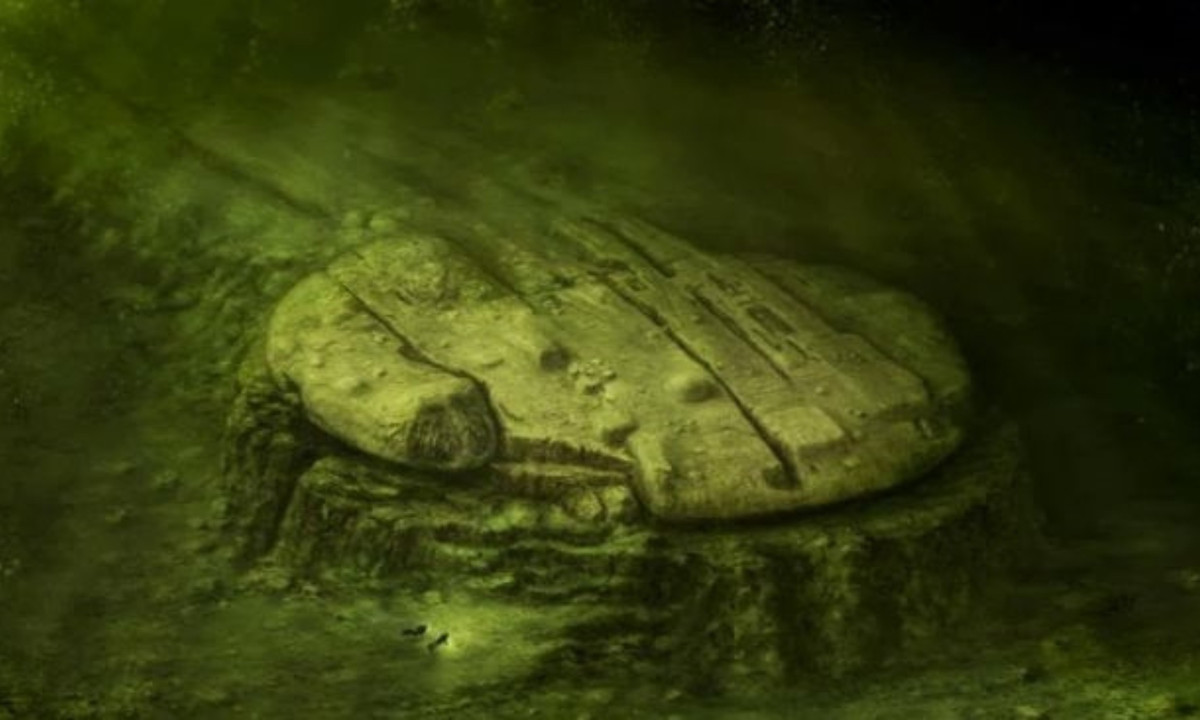 3. “Siêu vật thể” kỳ lạ dưới biển Baltic: vào tháng 6/2011, đội săn tìm kho báu dưới đáy biển “Ocean X” của Thụy Điển phát hiện xác của một con tàu chở rượu ở độ sâu chừng 90m dưới đáy biển Baltic (Bắc u). Theo xác nhận ban đầu, chiếc tàu có niên đại khoảng một thế kỷ và bị hải quân Đức đánh chìm trong Thế chiến thứ nhất. (Nguồn: MysTown.com) 