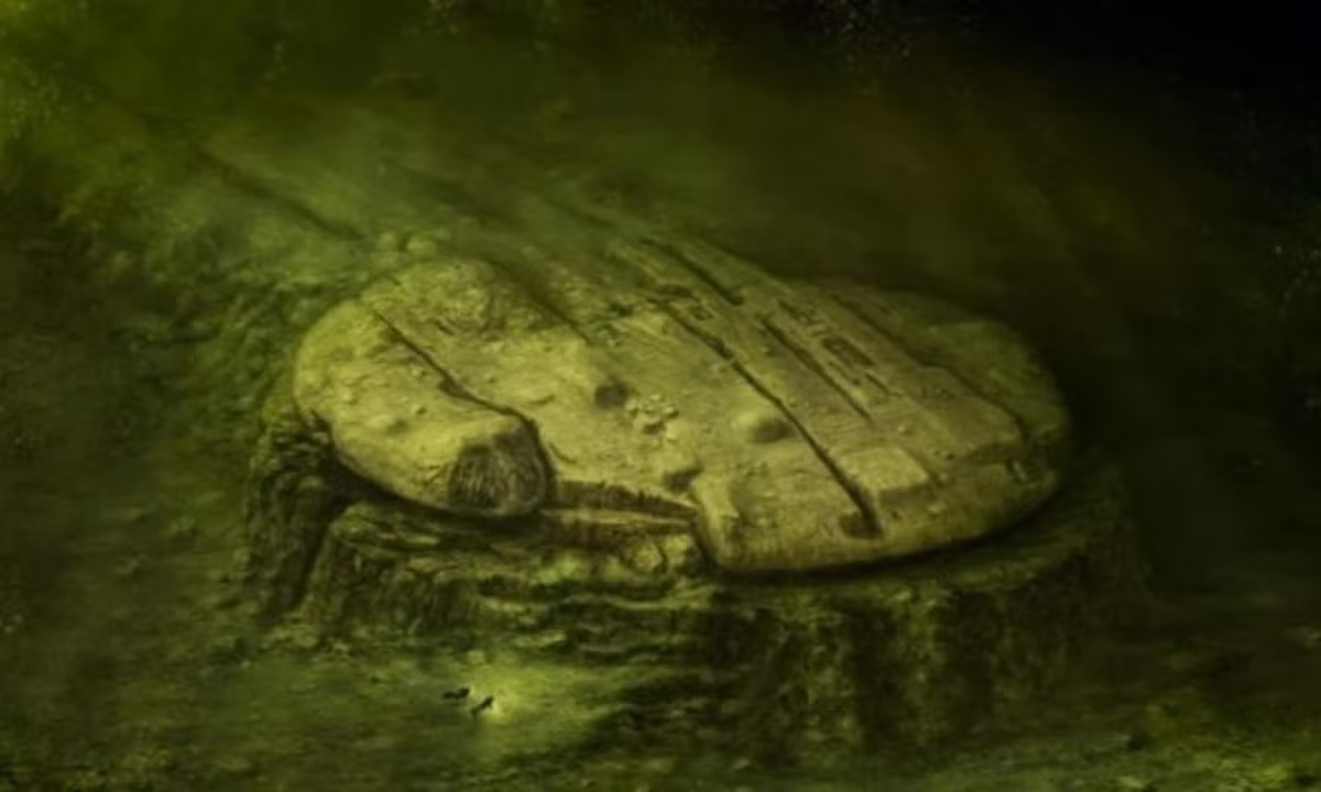 3. “Siêu vật thể” kỳ lạ dưới biển Baltic: vào tháng 6/2011, đội săn tìm kho báu dưới đáy biển “Ocean X” của Thụy Điển phát hiện xác của một con tàu chở rượu ở độ sâu chừng 90m dưới đáy biển Baltic (Bắc u). Theo xác nhận ban đầu, chiếc tàu có niên đại khoảng một thế kỷ và bị hải quân Đức đánh chìm trong Thế chiến thứ nhất. (Nguồn: MysTown.com) 