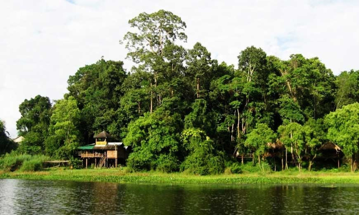 2. Rừng Nam Cát Tiên: thuộc 3 tỉnh Đồng Nai, Bình Phước và Lâm Đồng, nằm trong diện bảo tồn với nhiều thảm thực vật đa dạng, nhiều cây quý và chim muông nằm trong sách Đỏ. (Nguồn: Star Travel International) 